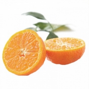 随州馆 南丰蜜桔2.5kg
