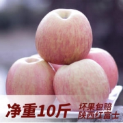 礼之泉 陕西红富士 10斤