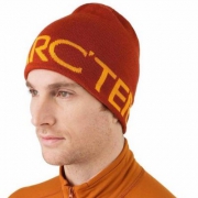 REI：Arc'teryx 始祖鸟 醒目logo标羊毛帽 多款 $18.73