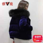 雅鹿 新款貉子大毛领 丝绒面料 羽绒服 蓬松度640+