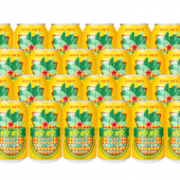 限华东！珍珍 菠萝啤 麦芽味汽水 碳酸饮料 330ml*24听 整箱