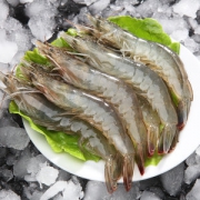 翠施 鲜活冷冻 南美大号对虾 长16cm 共16只 200g*2袋