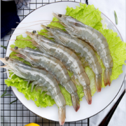 Seamix禧美 原装进口冷冻厄瓜多尔白虾 1.8kg 90-108只