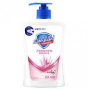 Safeguard 舒肤佳 抑菌洗手液 芦荟柔肤呵护型 450ml *10件