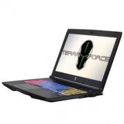 未来人类 T500-1060 15.6英寸游戏笔记本电脑（I7-7700HQ 16GB 256GB+1TB）