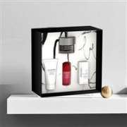 SHISEIDO 资生堂 男士全效活肤套装