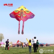 天猫商城：永健 潍坊风筝 多造型可选 送100米线板