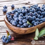 京东商城：智利进口新鲜蓝莓 125g*4盒