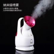 金稻 KD2331A 家用补水蒸脸器 美白淡斑