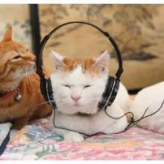 听音乐干活=洗脑+抖腿=毫无帮助？很可能是你没选对曲目！