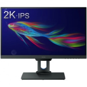BenQ 明基 PD2500Q 25英寸 IPS显示器（2560×1440、DC直流、升降旋转）