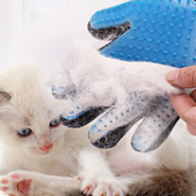 Pvy 猫梳子撸猫手套