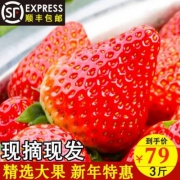 农家新语 现摘现发 红颜奶油草莓3斤