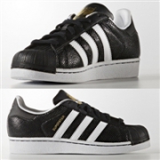 成人可穿，Adidas Superstar 大童贝壳头