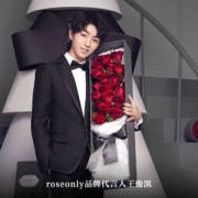 一生一世# roseonly 玫瑰鲜花礼盒 11朵