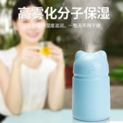 高鼎科技 GD-DM08 迷你便携式加湿器