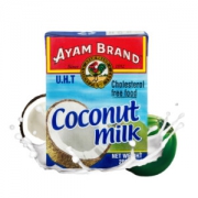 马来西亚进口 雄鸡标（AYAM BRAND）椰浆 200ml *2件