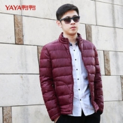 YAYA 鸭鸭 男装短款立领轻薄款羽绒服  99元包邮（149-50）