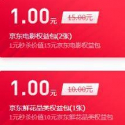 优惠券：京东白条免息券、权益包