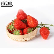 尝先生 现摘现发 红颜奶油草莓3斤