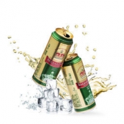 BARBAROSSA 凯尔特人 拉格啤酒 500ml *24听 *2件