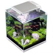 SUNSUN森森    桌面小鱼缸 生态智能水族箱 ATK-250C  128元