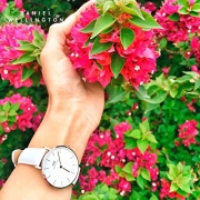 丹尼尔惠灵顿（Daniel Wellington）    DW00100189/90 女士时装手表 32mm