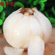 陇萃堂 兰州新鲜百合 500g
