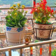 新巢坊 铁艺阳台花架 11.5*18cm 普通版