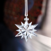 SWAROVSKI 施华洛世奇 2017 限量雪花 5257589 水晶挂饰