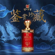 泸州老窖 鉴赏级酒品珍藏9V 52度浓香型白酒500ml*6瓶 整箱装