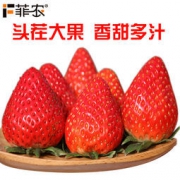 菲农 奶油草莓 新鲜现摘 2斤
