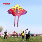 永健 潍坊风筝 多造型