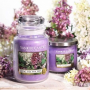 亚马逊海外购：Yankee Candle 扬基蜡烛 紫丁香 瓶装香薰无烟蜡烛623g Prime会员凑单免费直邮含税