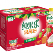 限华南！果缤纷荔枝椰青味复合果汁500ml*15瓶