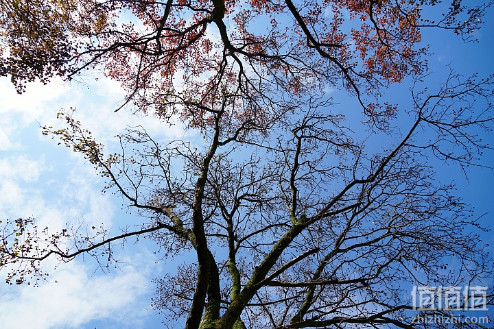 Sony 索尼 E 18-135mm F3.5-5.6 OSS 微单镜头开箱