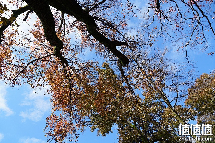 Sony 索尼 E 18-135mm F3.5-5.6 OSS 微单镜头开箱
