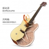 卢森入门木吉他 G20-41寸（云杉+桃花芯）