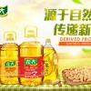 龙大压榨一级花生油 6.18L