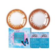 GEO Honey Wing半年抛彩色隐形眼镜2片装