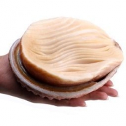 领鲜未来 南非黄金鲍 400g-500g