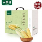 云泰源 云南水果玉米礼盒5斤