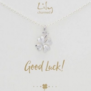 Lily Charmed 925银四叶草项链 £20.12