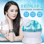 金稻  KD-2331-6 纳米补水喷雾器