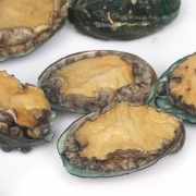 海蚨源 青岛鲜活现捞野生大鲍鱼500g（10~12头）