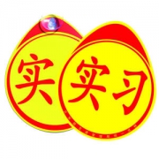 妙卡斯 新手驾驶上路 粘贴/磁力/吸盘 实习车贴 2张