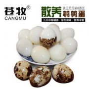 苍牧 散养鹌鹑蛋 60枚