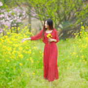 阳春三月  穿上裙子出去浪吧