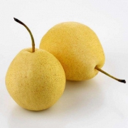 丰县 大沙河梨 1.5kg