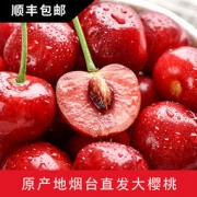 预售：美早烟台大樱桃 车厘子 3斤
